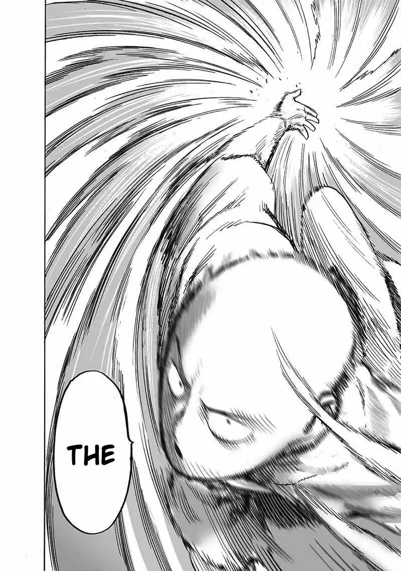 One-Punch Man Chapter 172 21